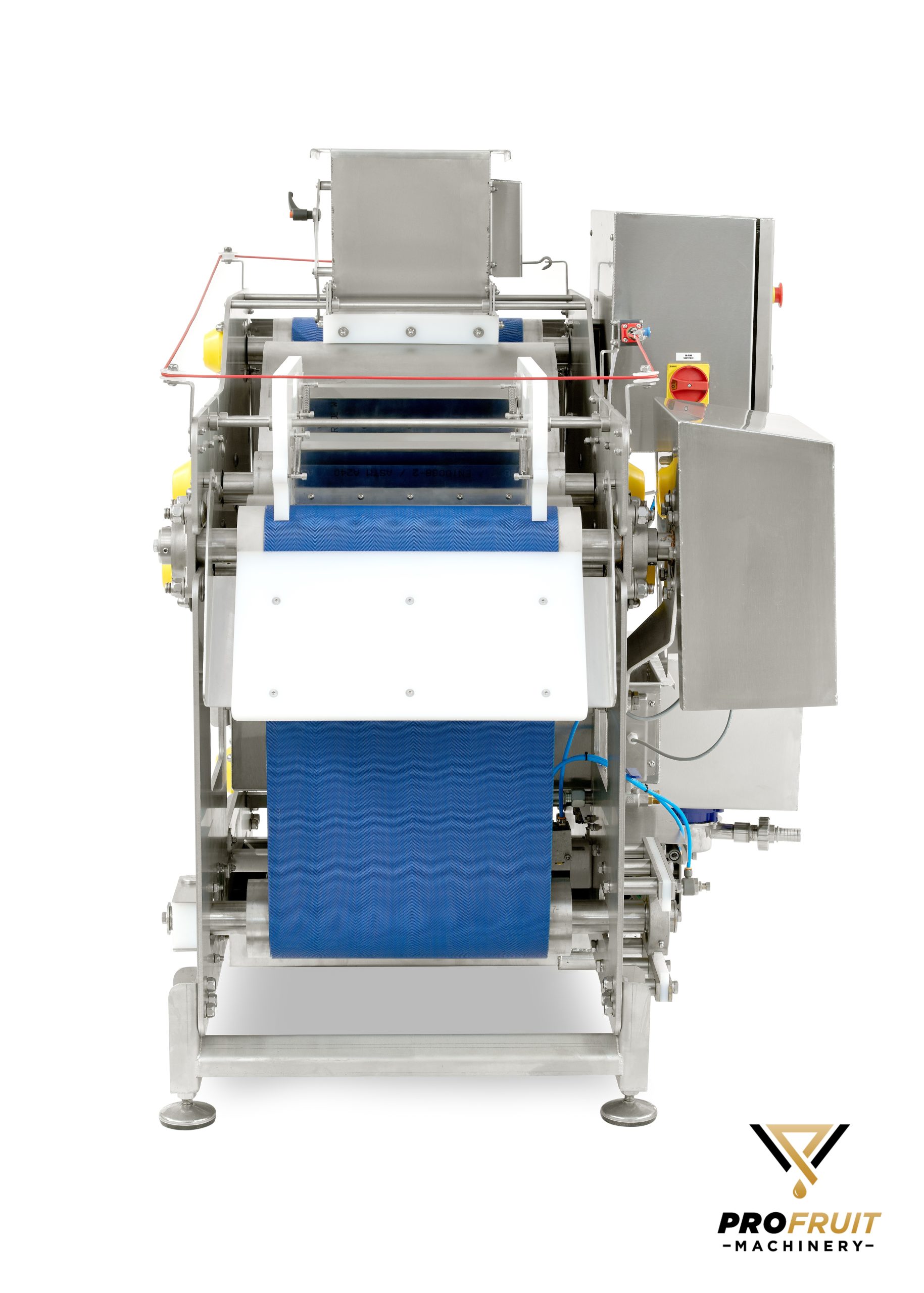 Belt press 400 kg/h for processing various fruits and vegetables | ProFruit Machinery