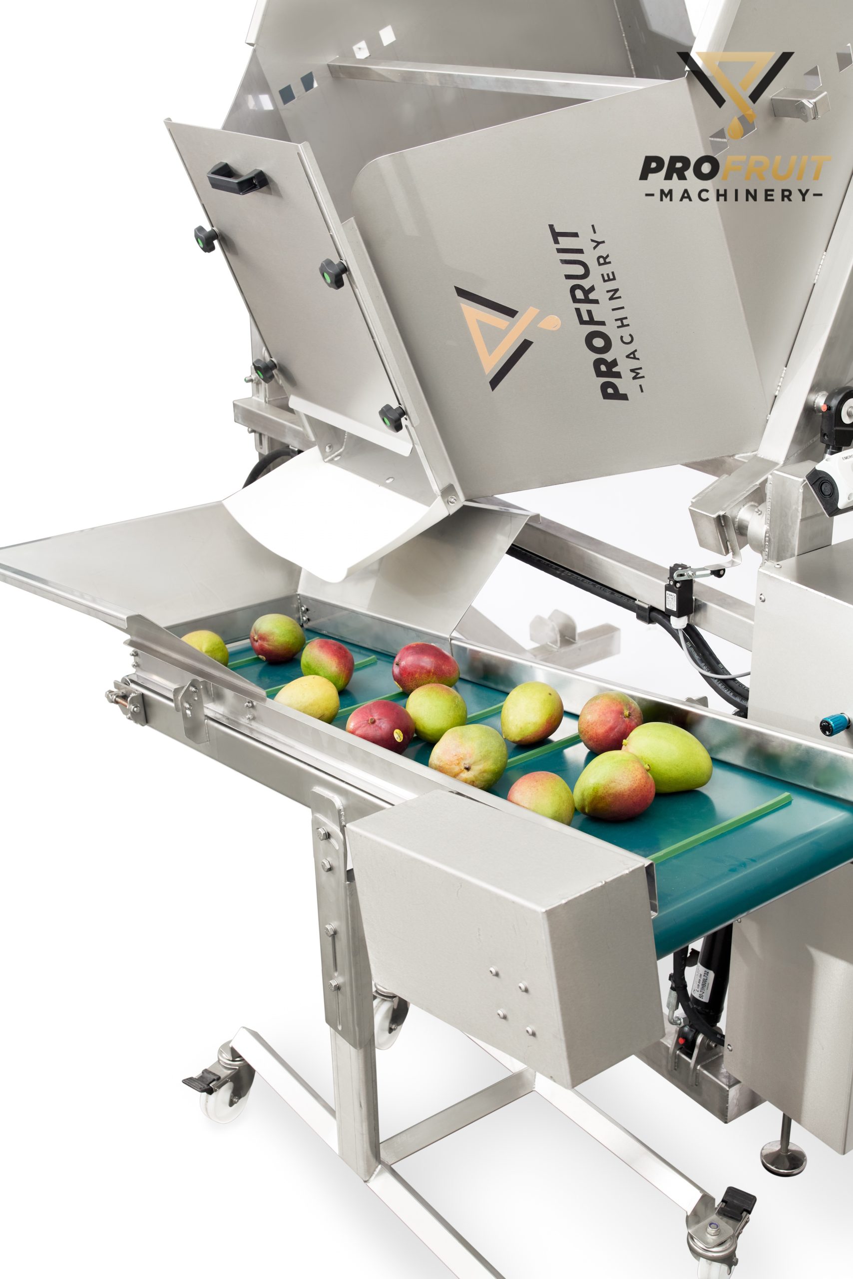 bin tipper and sorting conveyor | ProFruit Machinery