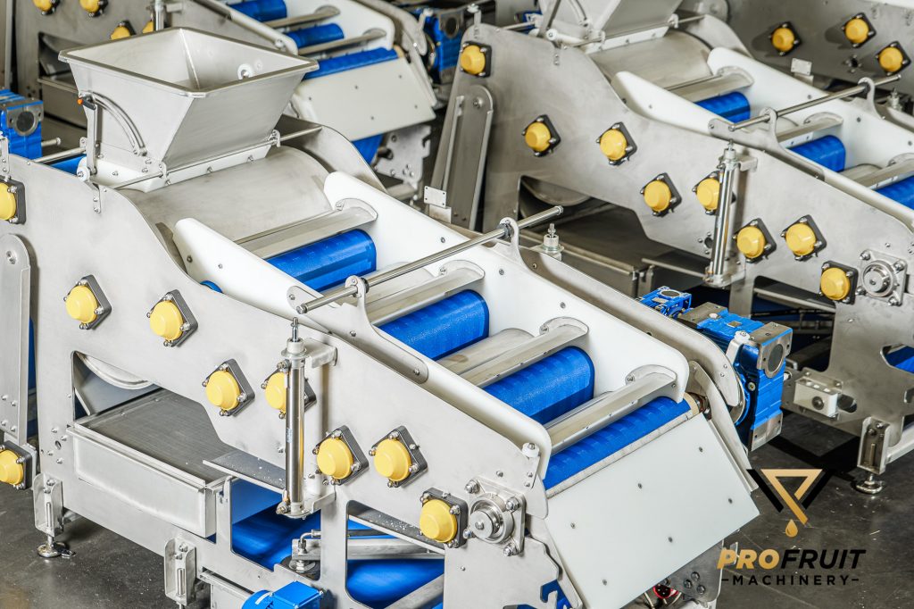 Fruit processing and juice production machinery | ProFruit Machinery