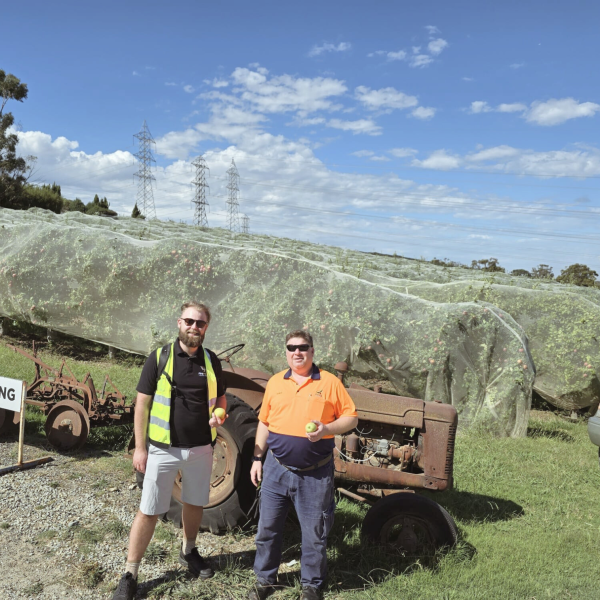 apple production machinery in australia