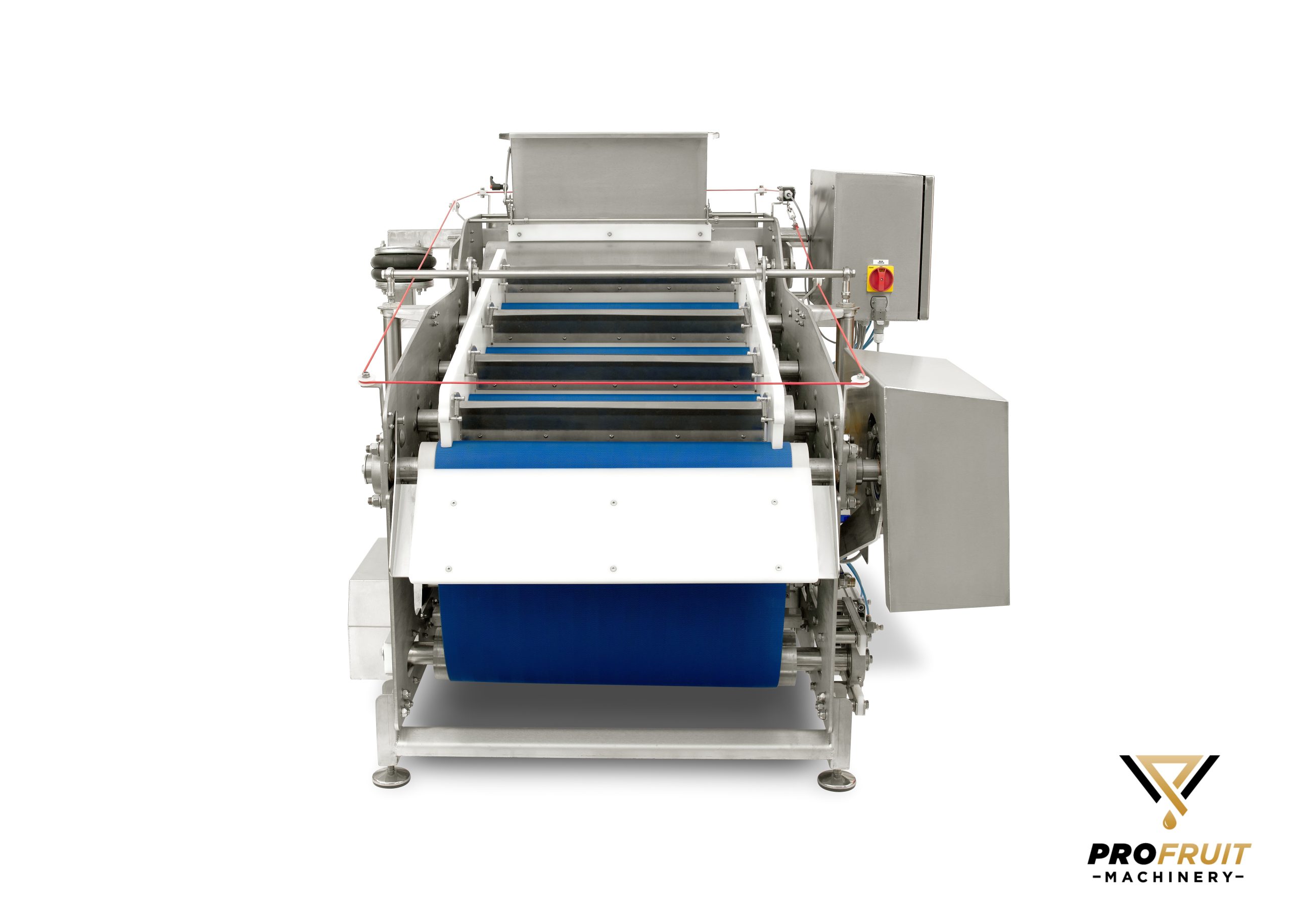 Belt press 1500 kg/h for pressing fruit and vegetable juice | ProFruit Machinery