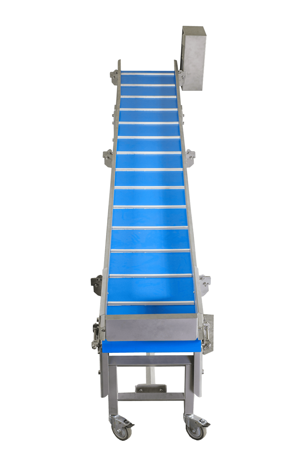 The front of the sorting conveyor | ProFruit Machinery