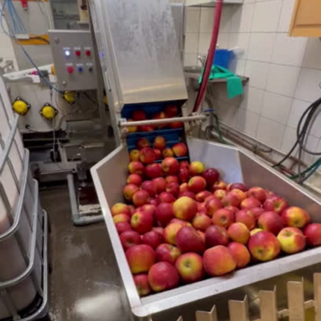 juice processing 3 | ProFruit Machinery