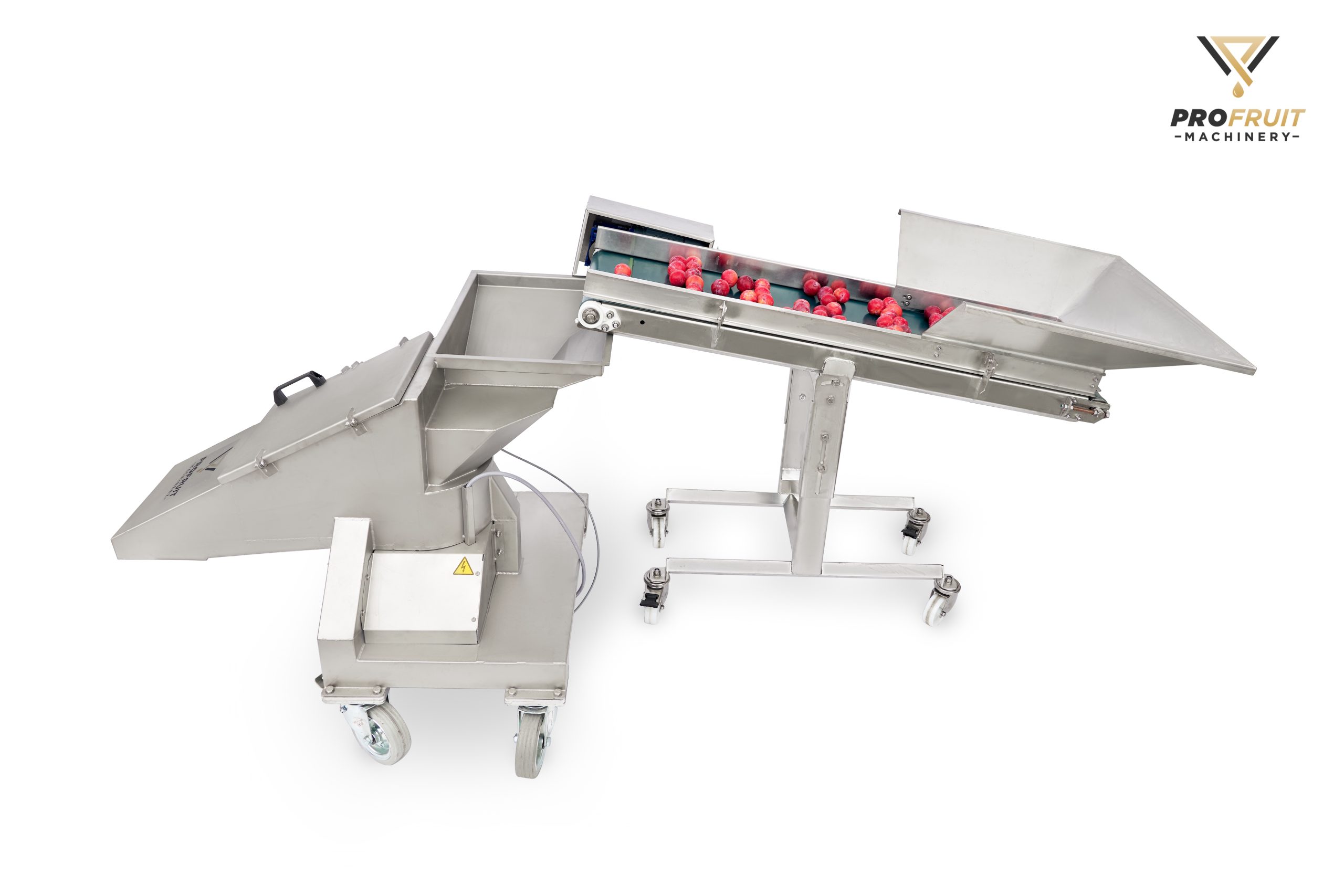 Berry and fruit crusher for various products | ProFruit Machinery