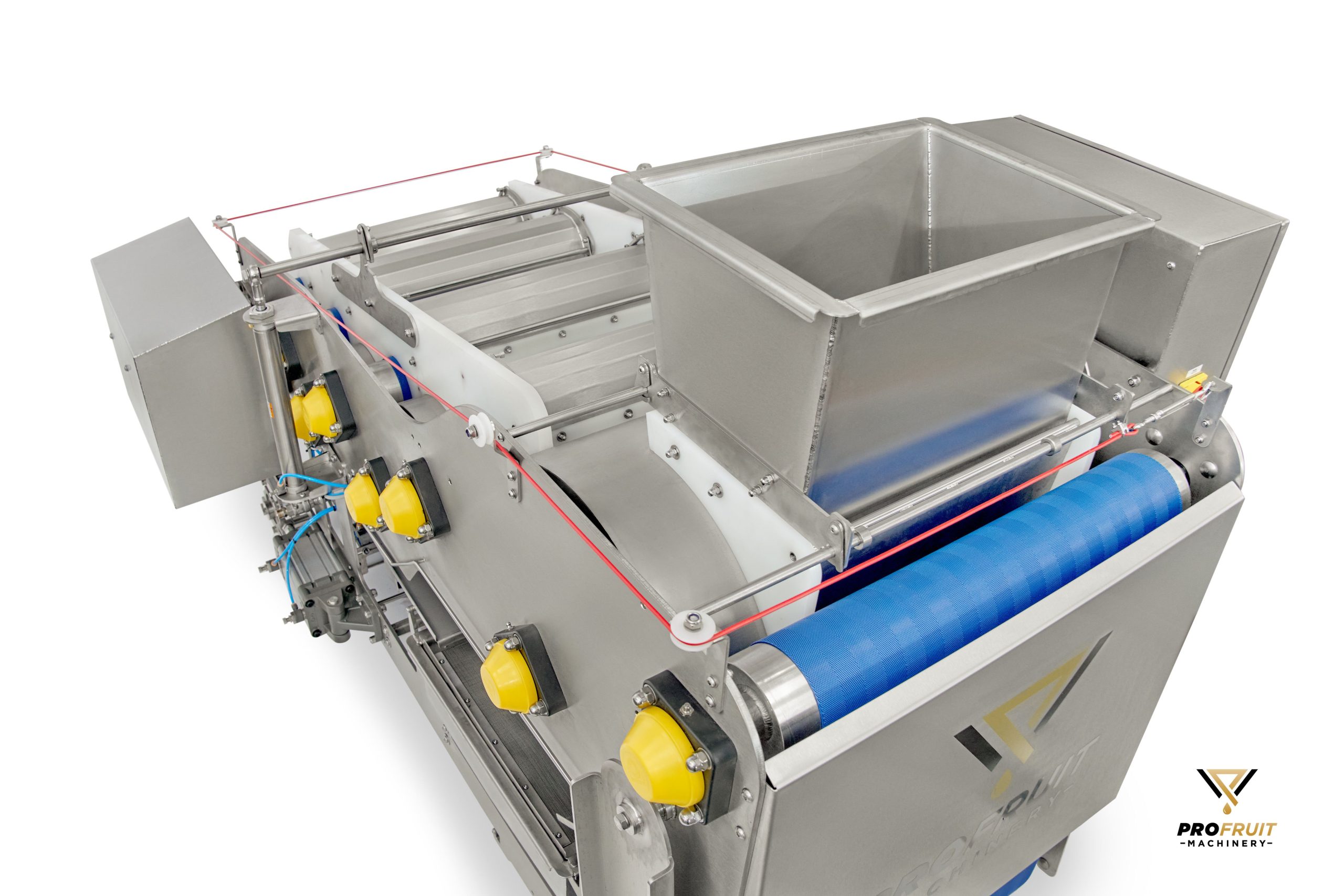 belt presses for fruit and vegetable processing | ProFruit Machinery