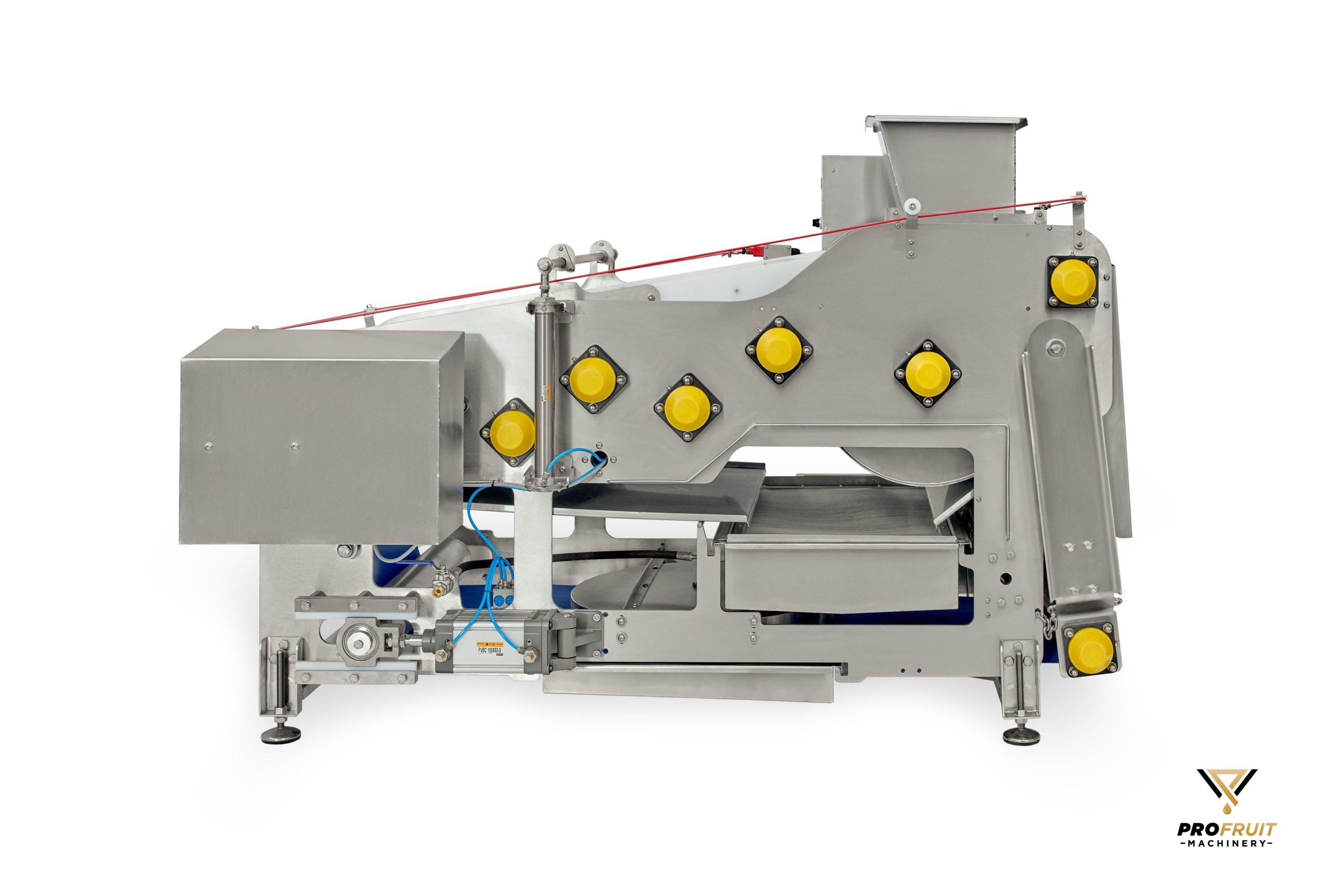 Belt presses Capacity 800kg/h | ProFruit Machinery